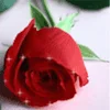 Natali_6-фото