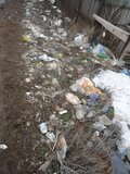 Жалоба-отзыв: Не убирают мусор!.  Фото №1