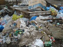Жалоба-отзыв: Не убирают мусор!.  Фото №4