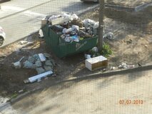 Жалоба-отзыв: Под окнами мусорный бак!!!.  Фото №2