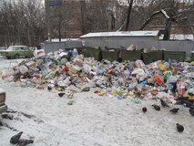 Жалоба-отзыв: ЖКХ - Не производится вывоз мусора с территории.  Фото №3