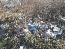 Жалоба-отзыв: Администрация Щекино - Свалка мусора на ул. Путевая.  Фото №1
