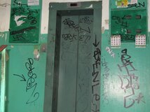 Жалоба-отзыв: Никитин Никита Владимирович - Стен STEN: вандализм или разрисовка стен