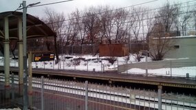 Жалоба-отзыв: Станция "Рижская" - Незаконная свалка у станции "Рижская"