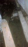 Жалоба-отзыв: ООО "Орехово-Зуевское ГЖП" - Течь канализации в подвале.  Фото №2