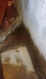 Жалоба-отзыв: ООО "Орехово-Зуевское ГЖП" - Течь канализации в подвале.  Фото №4