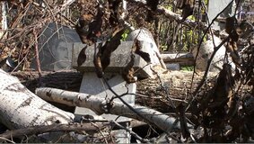 Жалоба-отзыв: Муниципальное казенное учреждение "Служба заказчика по содержанию общественных кладбищ" г. Хабаровск - Безобразия на кладбище.  Фото №5