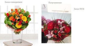 Жалоба-отзыв: Новая Голландия (цветы на дом) - Доставка цветов (привезли не то, что заказывала)