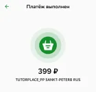 Жалоба-отзыв: Deepsearch.ru, ИП Робак Алина Александровна - Неавторизованное списание средств и отсутствие поддержки от deepsearch.ru.  Фото №3