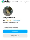 Жалоба-отзыв: Добрый Котик (Черемшанова Диана) - Мошенница с Авито.  Фото №1