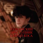 Жалоба-отзыв: Украинский преступник Сергей Коса - Украинский преступник Сергей Коса, очерендое мошеничество