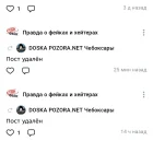 Жалоба-отзыв: "Доска Позора Чебоксары Шупашкар ", "Доска Позора.Net (заблокировано)" - Ляпустин из "Доски Позора" очернил имя медсестры из ЦГБ г. Чебоксары.  Фото №4